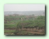 [Klik om een grote afbeelding te zien]